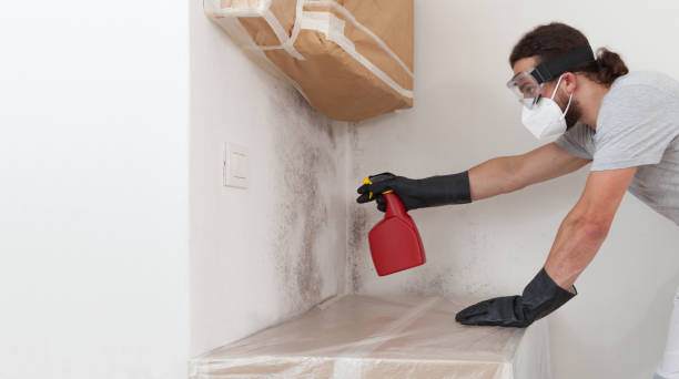 Professional Bathroom Mold Removal technician working in Bear Creek, NC